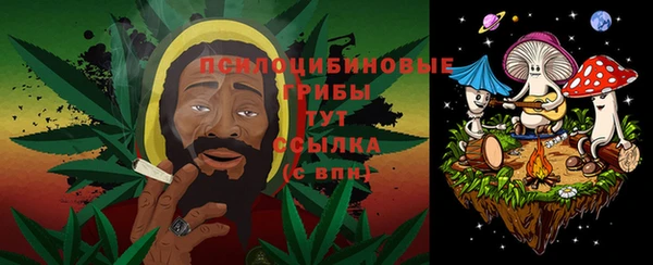 ALPHA PVP Вяземский